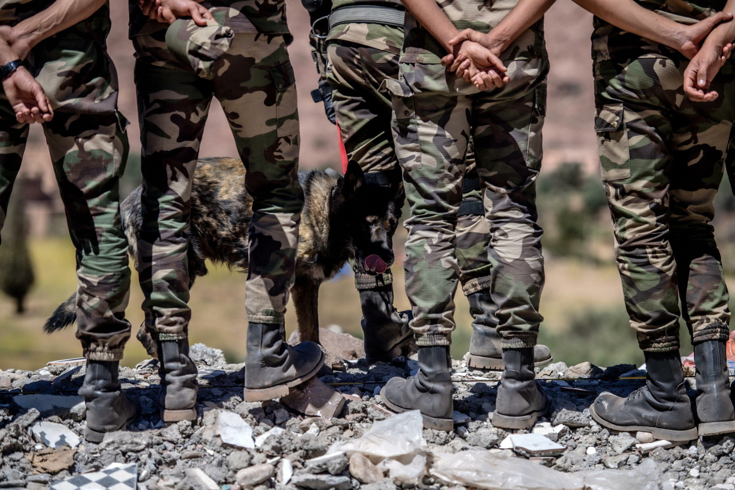 Marocco e Francia lanciano esercitazioni militari congiunte vicino al confine algerino