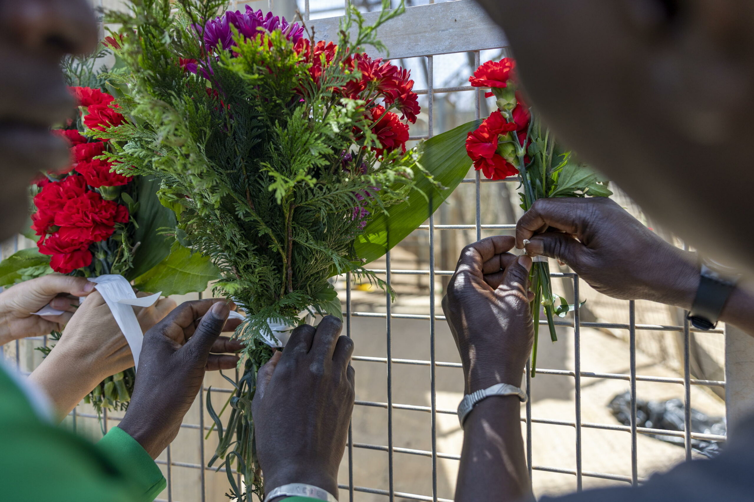 Confine Marocco-Algeria: 9 migranti morti per il gelo
