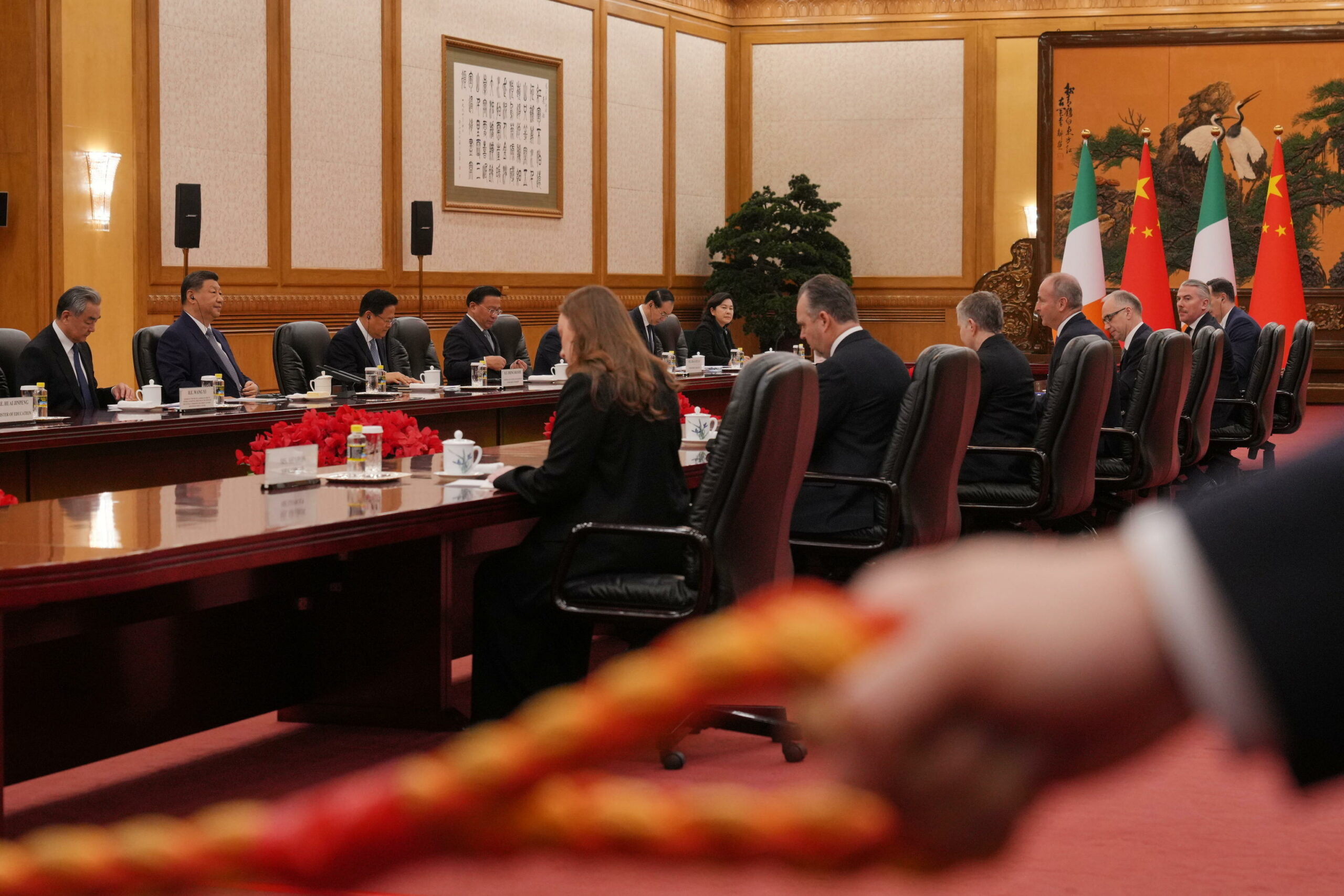 Cina cerca di rafforzare legami con Irlanda per migliorare relazioni con UE