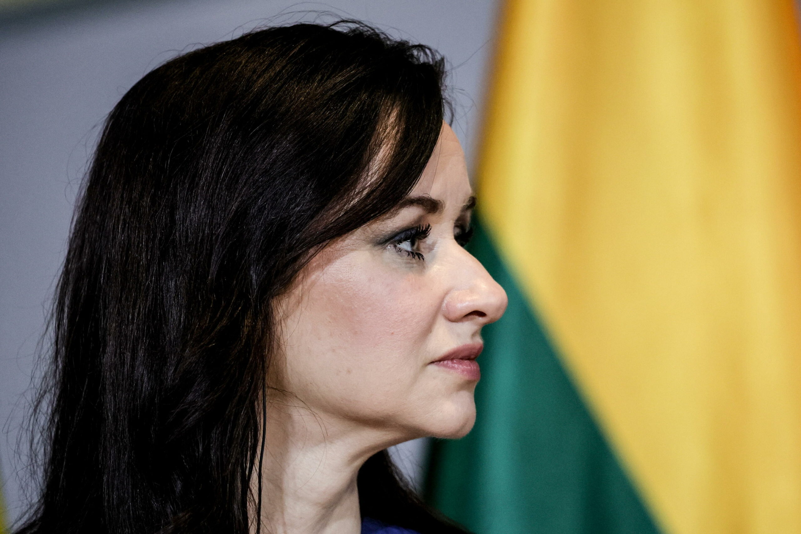 Lituania e Azerbaigian intensificano legami commerciali