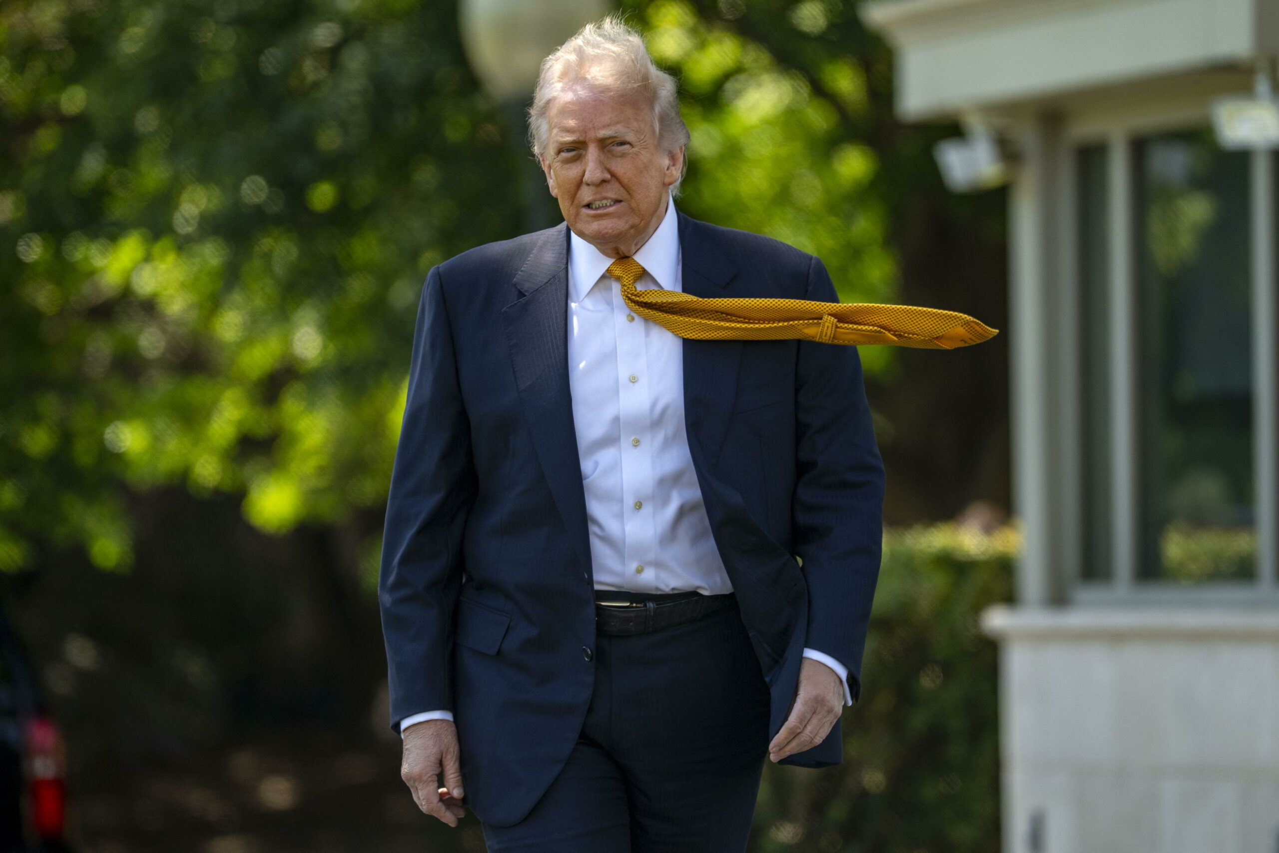 Groenlandia: Trump annuncia “massicce” esplorazioni di petrolio, gas e minerali