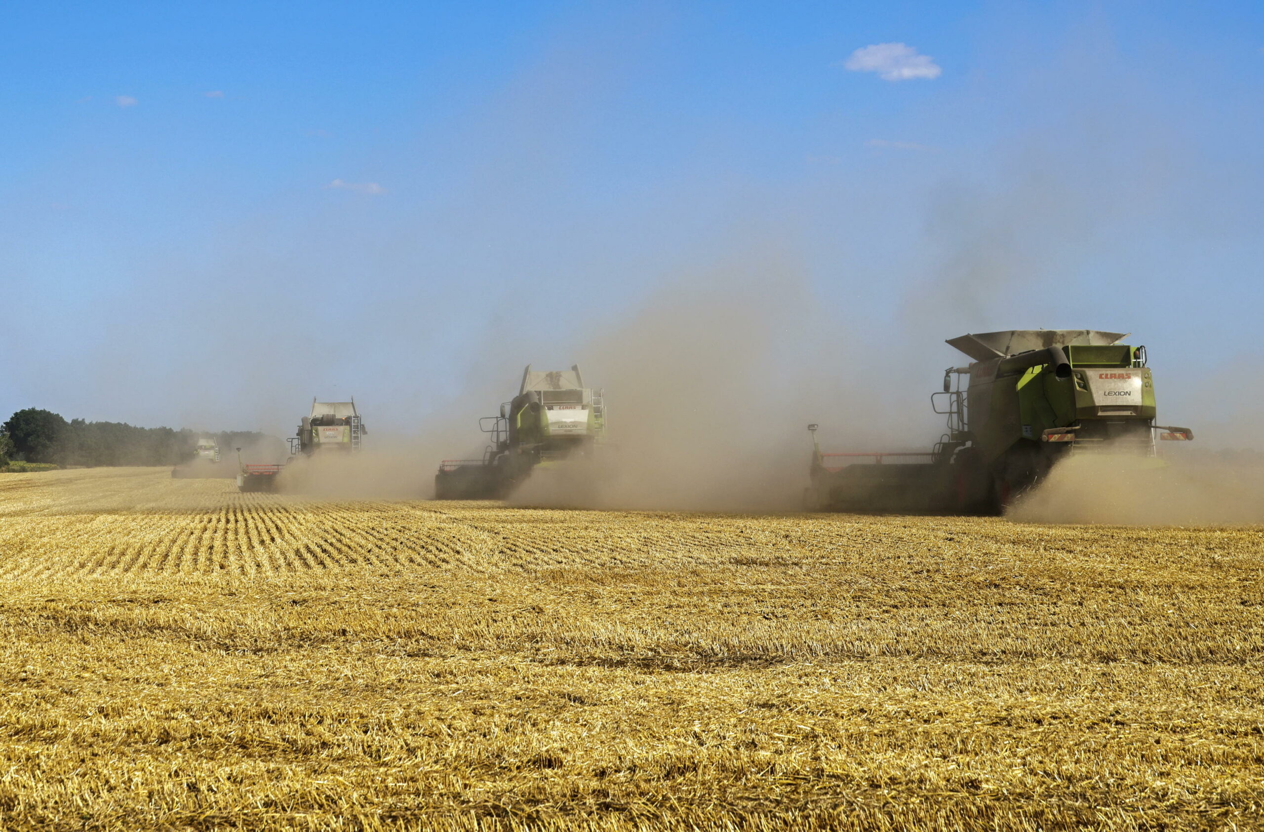 Reuters: “Ucraina si rivolge a rotte alternative per esportazione di cereali”