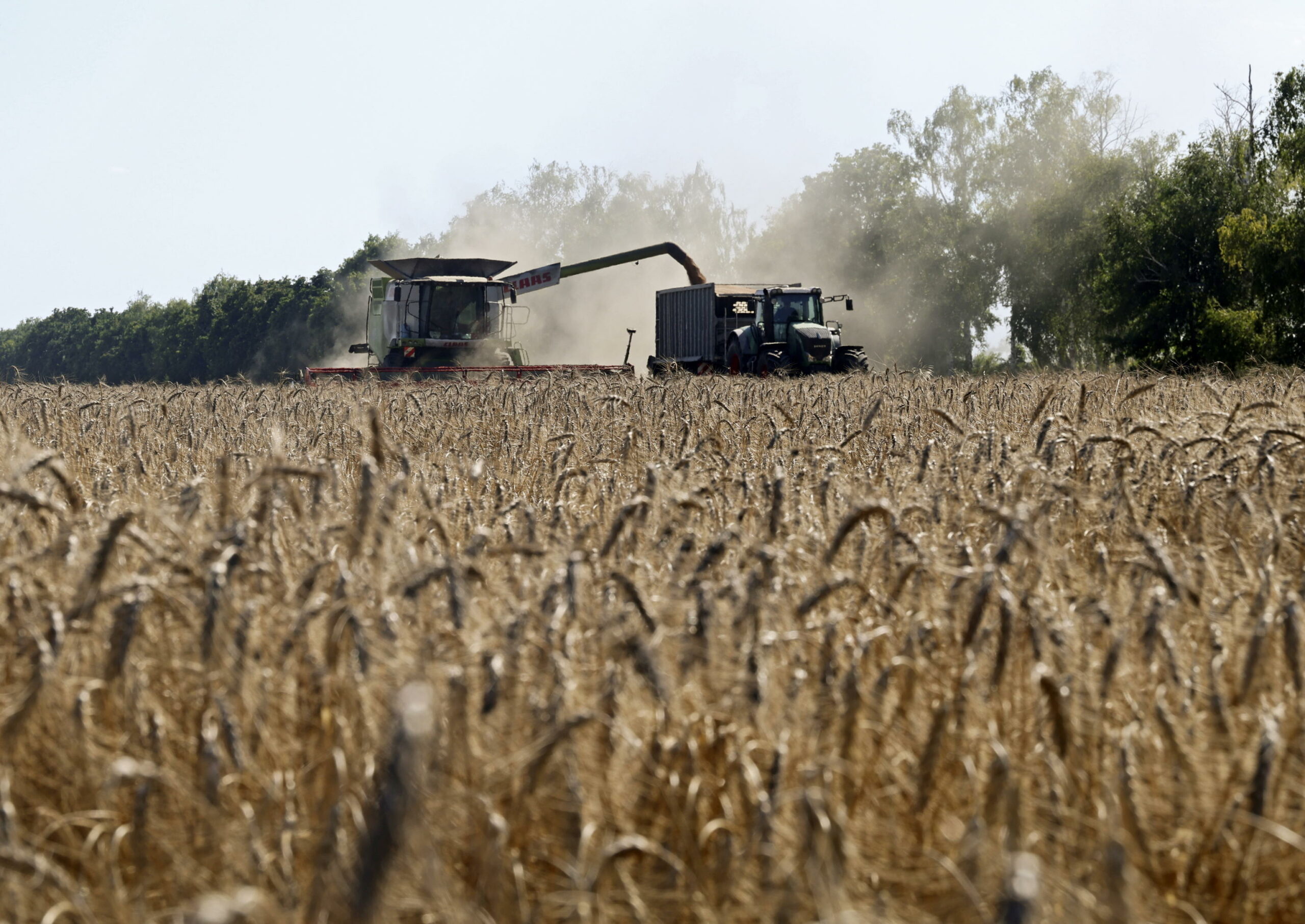 Kiev e Chisinau valutano possibilità di spedire grano via ferrovia attraverso la Moldavia